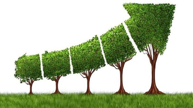 National steering committee on green growth established